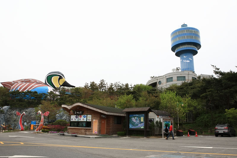 금강철새조망대