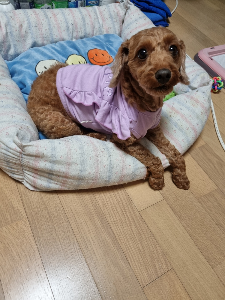 미소2