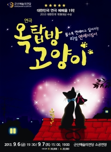 옥탑방 고양이