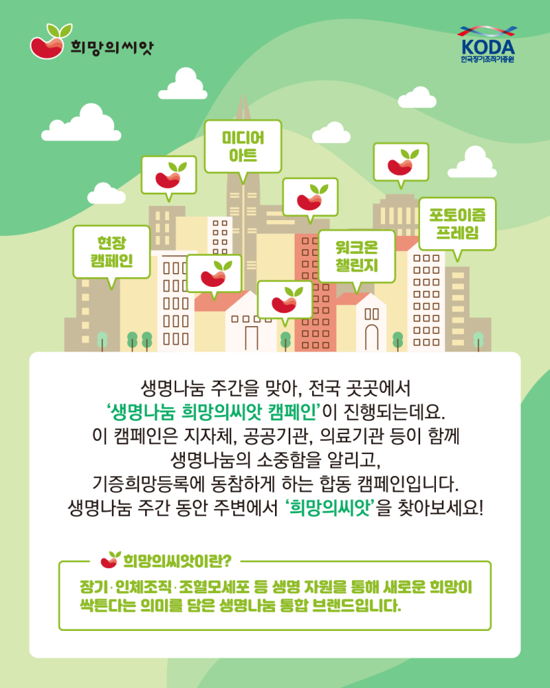 카드뉴스3