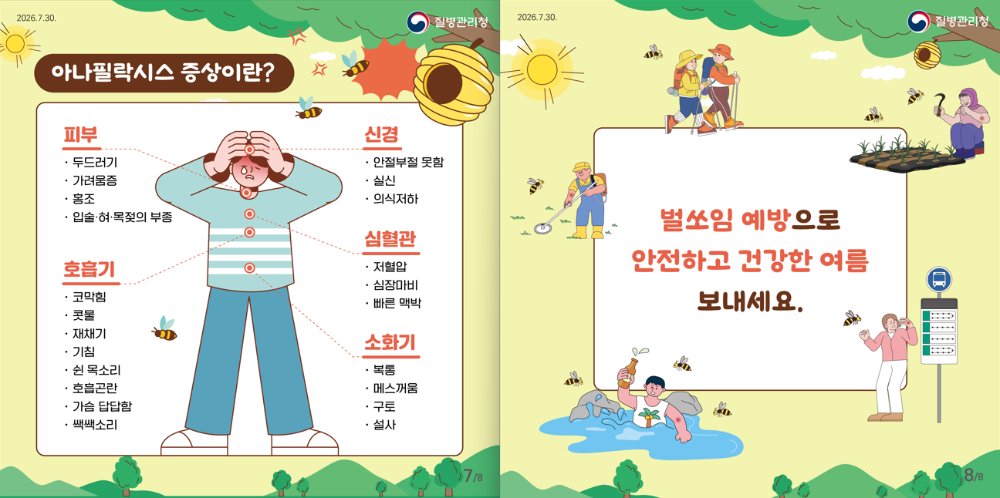 카드4