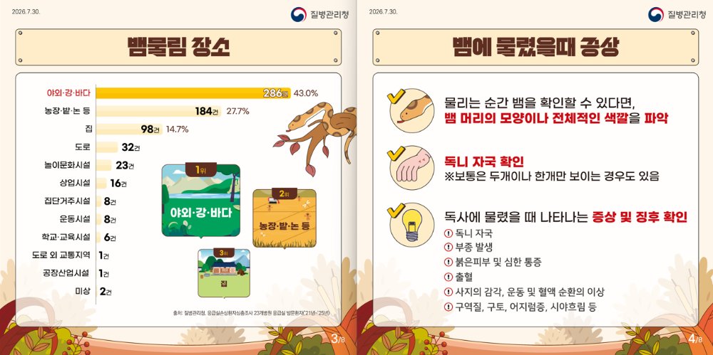 뱀물림2