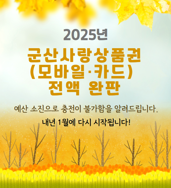2025년예산소진