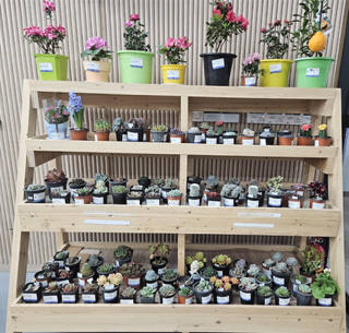 TalkMedia_i_6da486edbb4d.png(1)