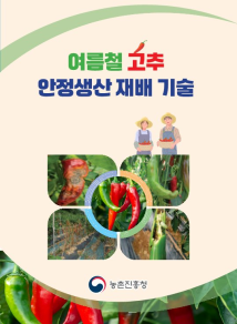 여름철 고추 안정생산 재배 기술