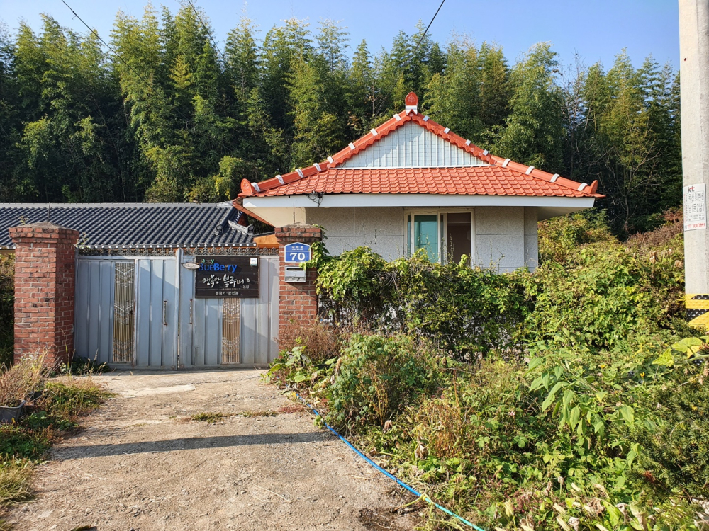 사진2