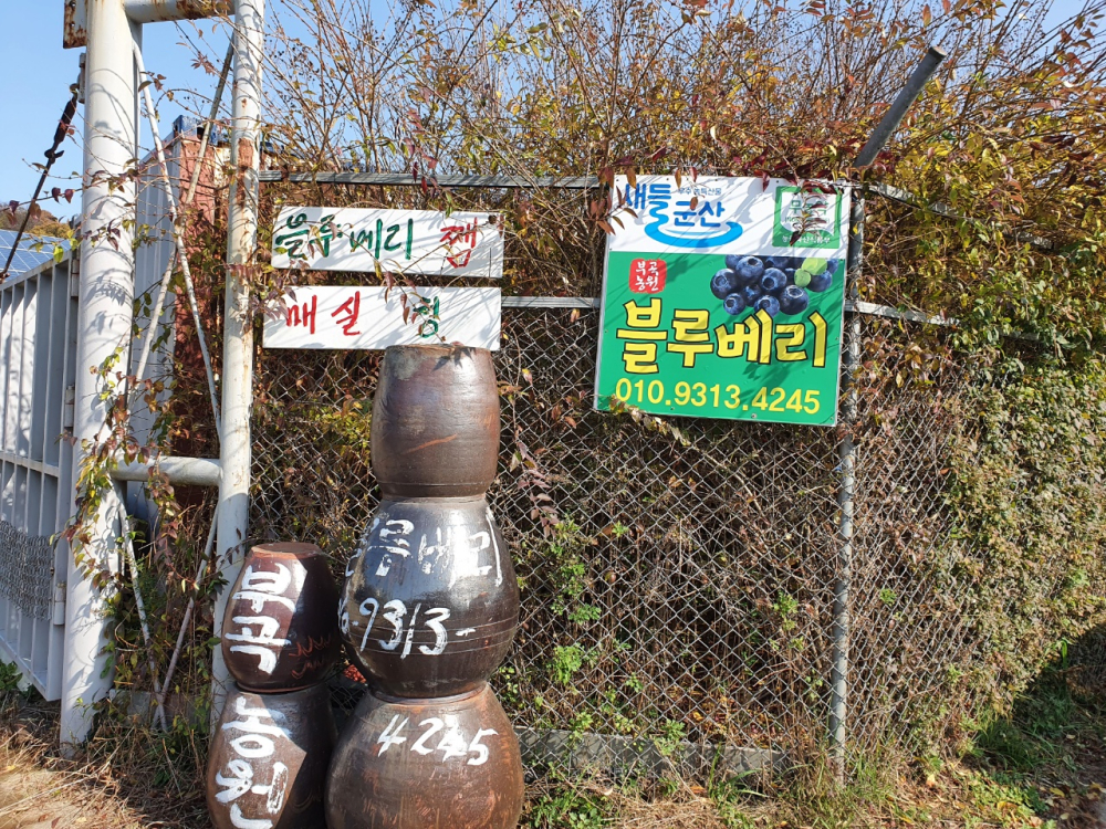 사진3