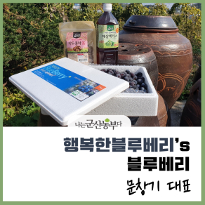 행복한 블루베리