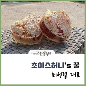 초이스허니