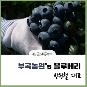 부곡농원