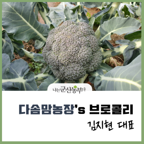 다솜맘농장