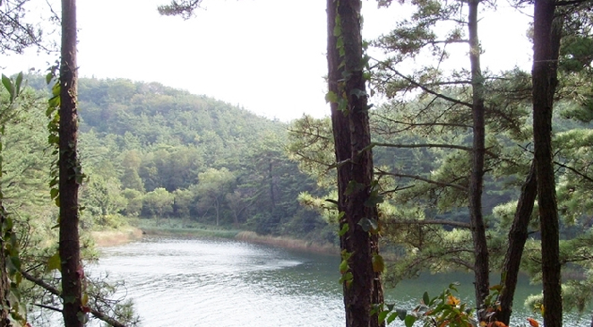 군산 제1수원지제방 (월명호수)