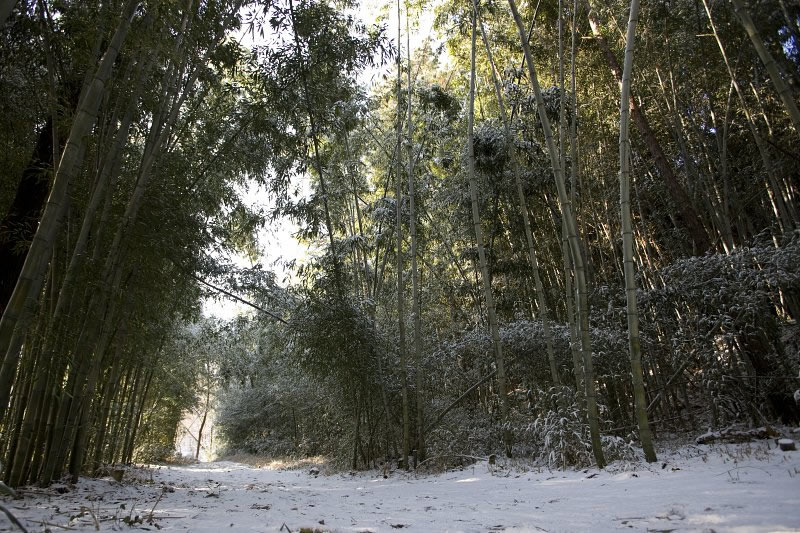 청암산