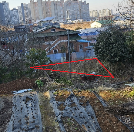 관련이미지4